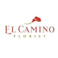 El Camino Flower Shop Miramar Rosecrans Florist  image 3